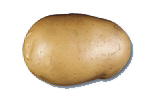 patata vivaldi